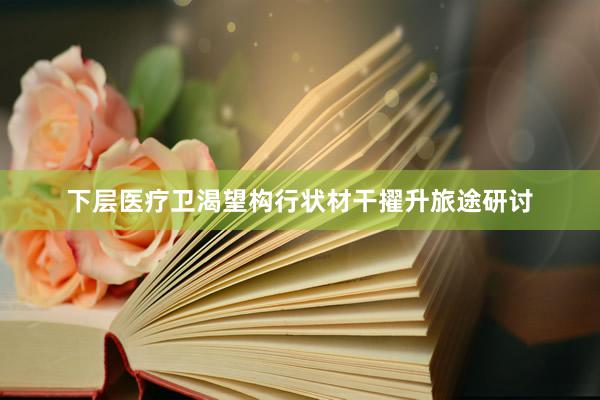 下层医疗卫渴望构行状材干擢升旅途研讨