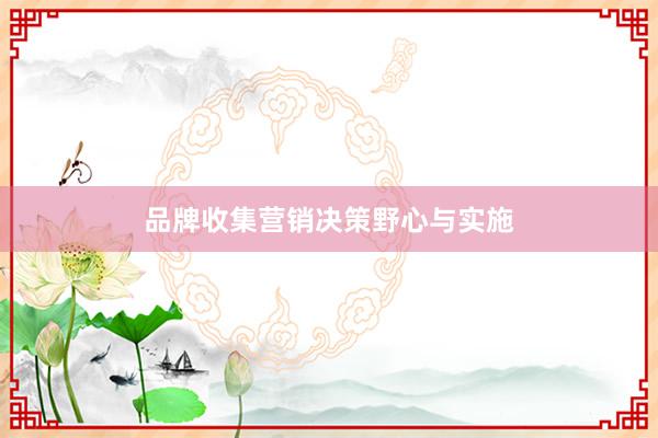 品牌收集营销决策野心与实施